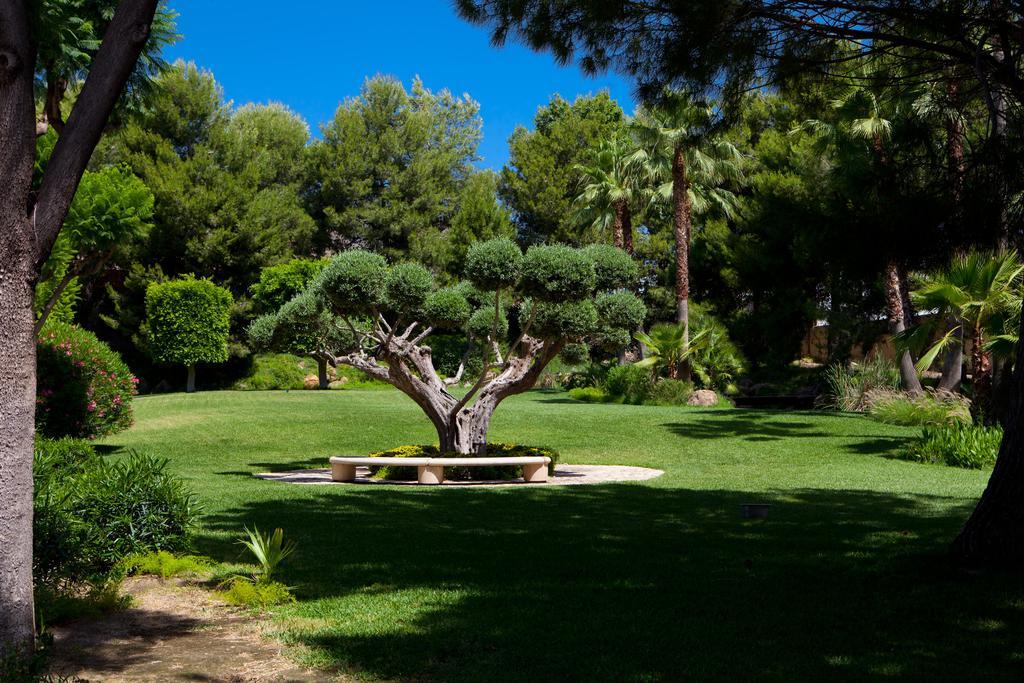 Jardines De Amaltea Hotel Lorca  Bagian luar foto