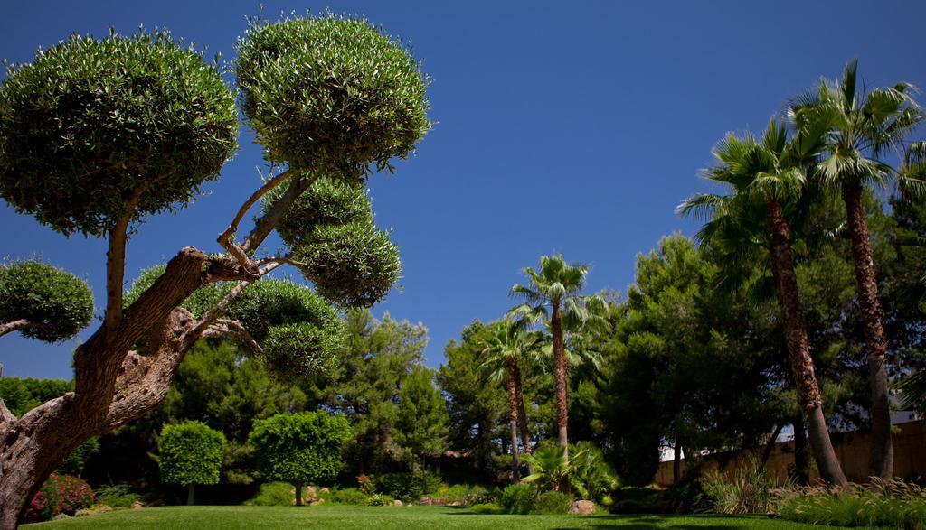 Jardines De Amaltea Hotel Lorca  Bagian luar foto